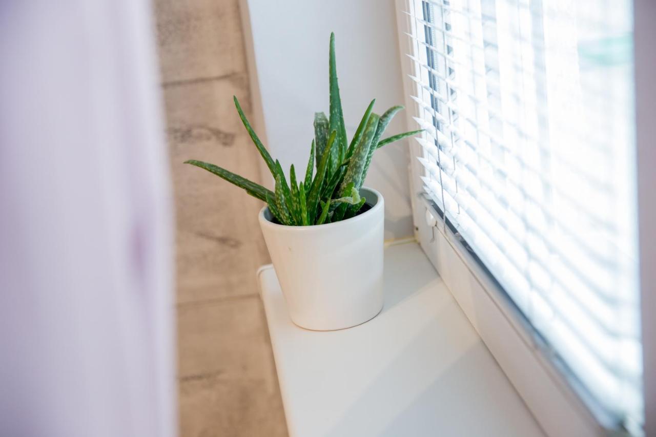 סובוטיקה Apartment Studio Milena מראה חיצוני תמונה